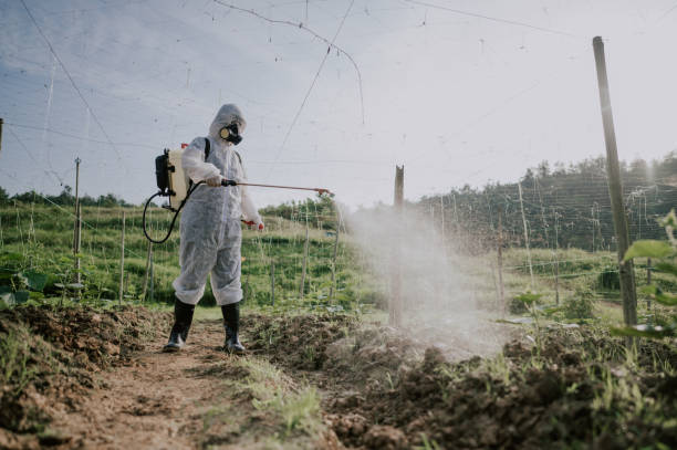 Best Commercial Pest Control Services  in Cienegas Terrace, TX
