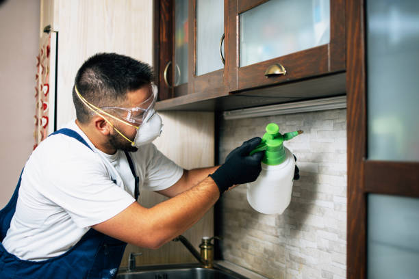 Best Best Pest Control Companies  in Cienegas Terrace, TX