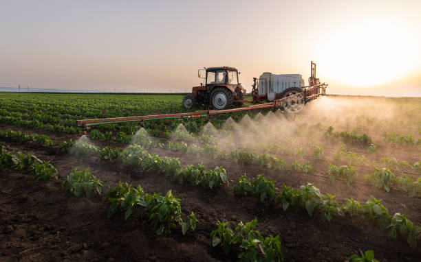 Best Best Pest Control Companies  in Cienegas Terrace, TX
